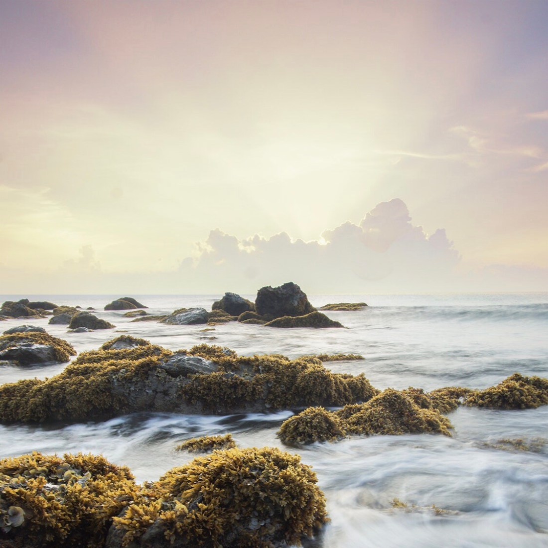 ba94775d-0e5b-4683-801f-dae809ec3a10